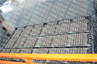 CE certification Automatic PLC control Paper Pulp Egg Tray Machine Natural gas drying oven